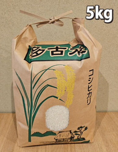 多古米（コシヒカリ）　精米 ５ｋｇ　令和7年度産